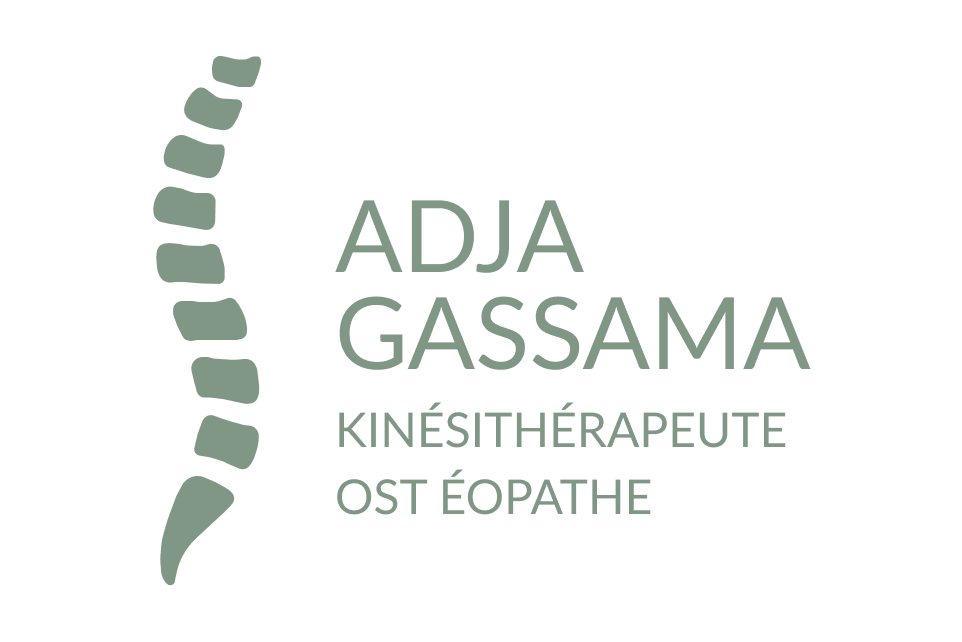 Adja Gassama Logo 1